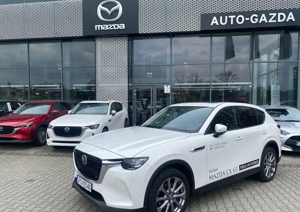 śląskie Mazda CX-60 cena 239000 przebieg: 15000, rok produkcji 2022 z Skarszewy